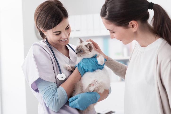 Interferon for Cats - Oral, Eye Drop and Injection