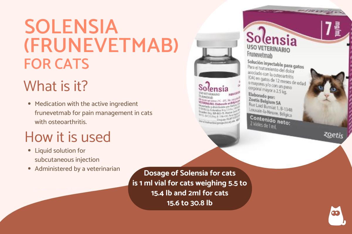 Solensia for Cats Dosage, Side Effects and Cost