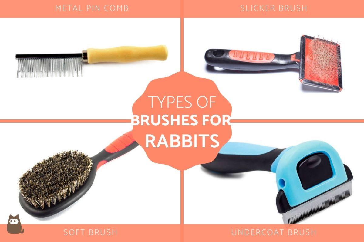 Best Rabbit Grooming Brushes