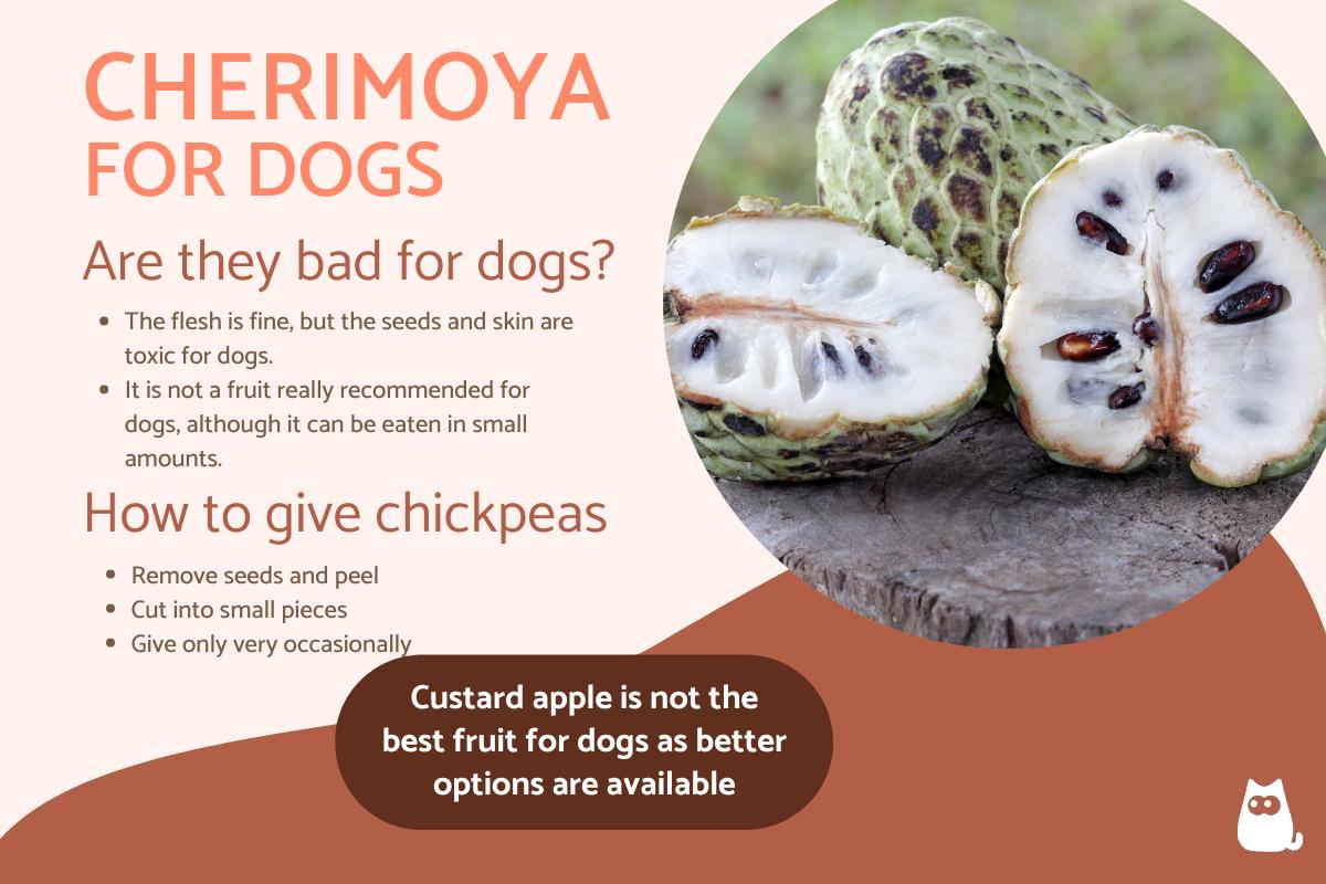 Can Dogs Eat Cherimoya?