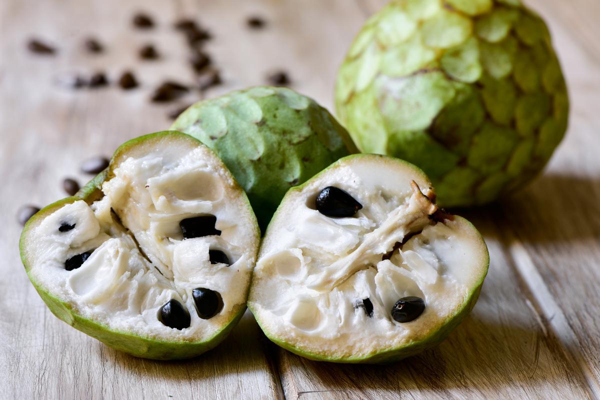 Picture of Can Dogs Eat Cherimoya? - Custard Apple Benefits and Side Effects