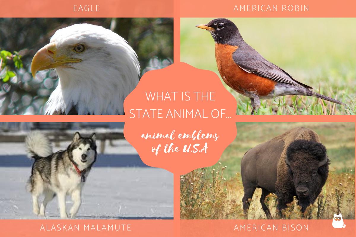 What is the State Animal Of...