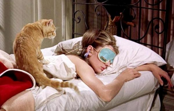 15 Things You Should Know About Cats - 8. Cats don't wake up in a mood