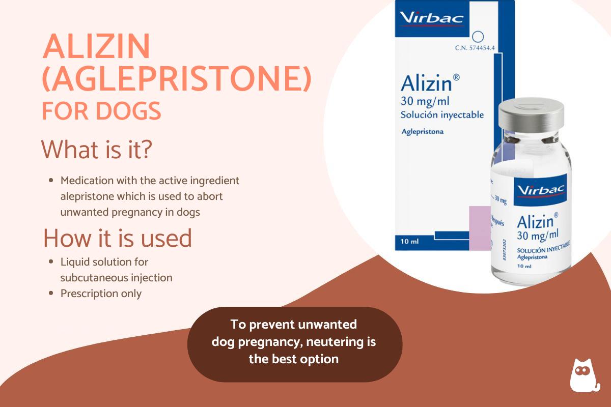 Alizin for Dogs - Uses and Side Effects