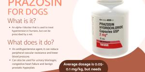 Prazosin for Dogs - Dosage and Side Effects