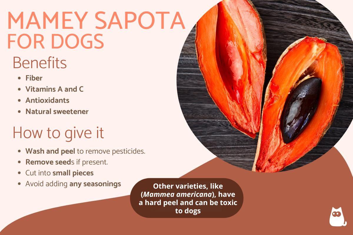 Is Mamey Sapota Safe for Dogs?