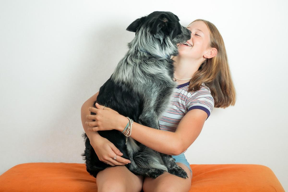 How to Socialize an Adult Dog