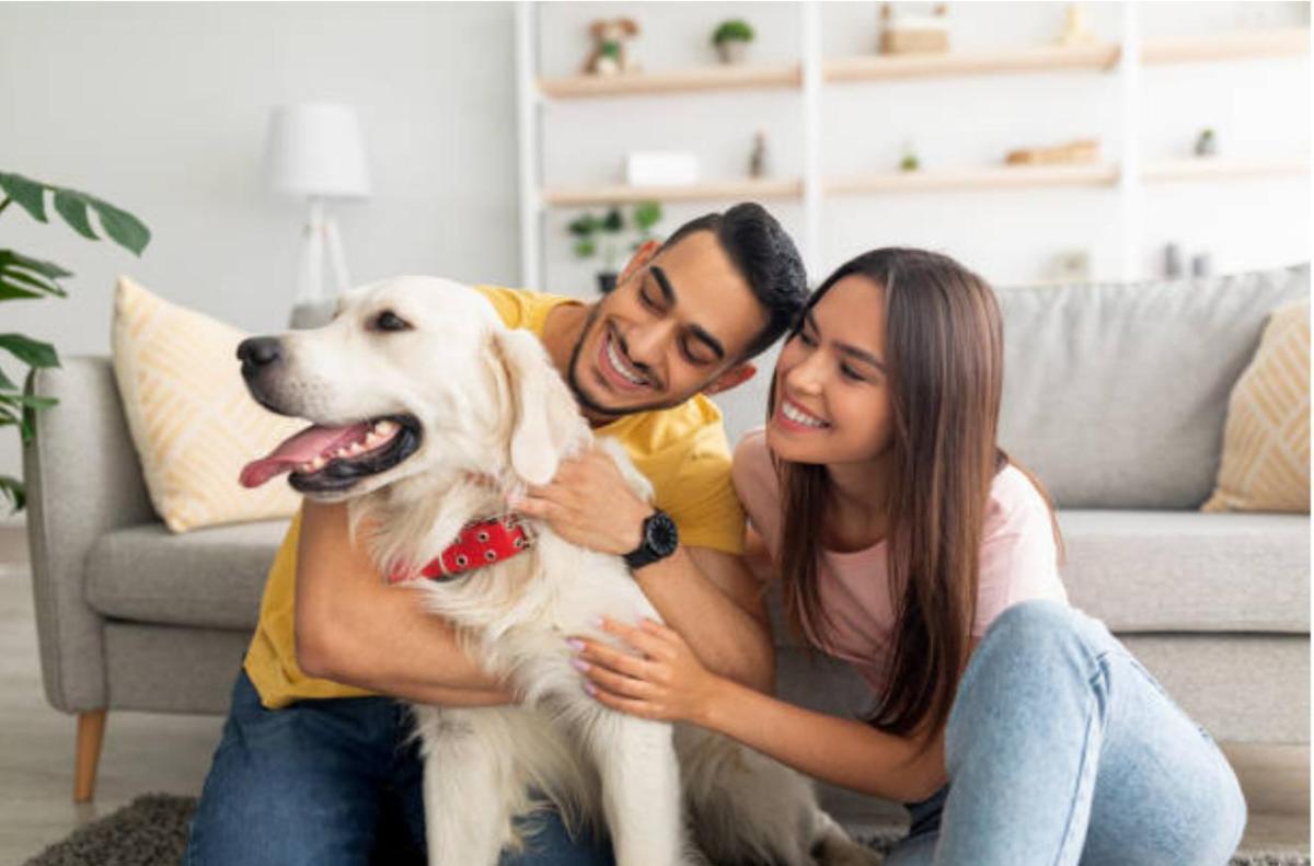 Why Your Dog Barks When You Kiss Someone Else?