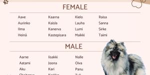 Finnish Dog Names With Meanings