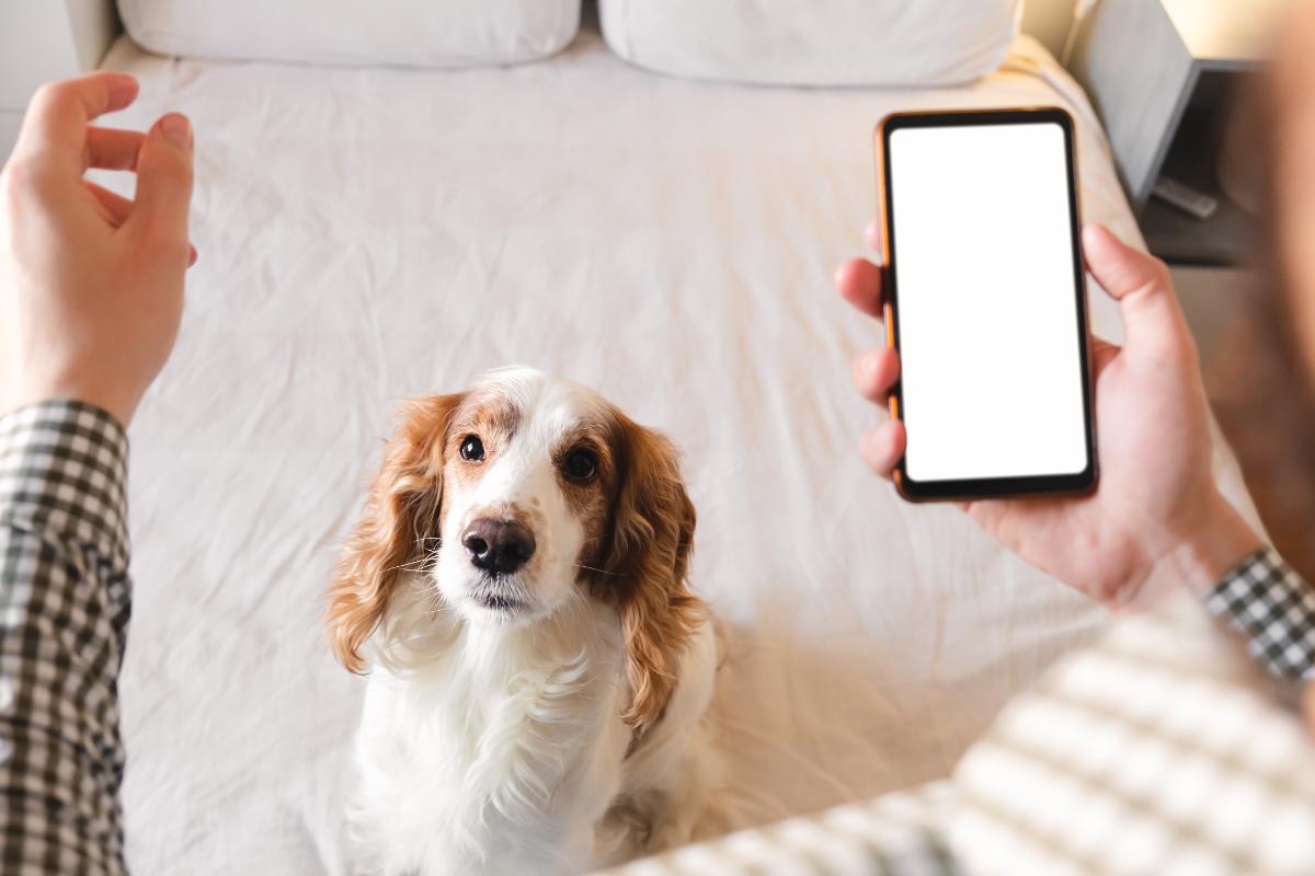 Pet Care Apps for Dogs and Cats - Uses and Benefits