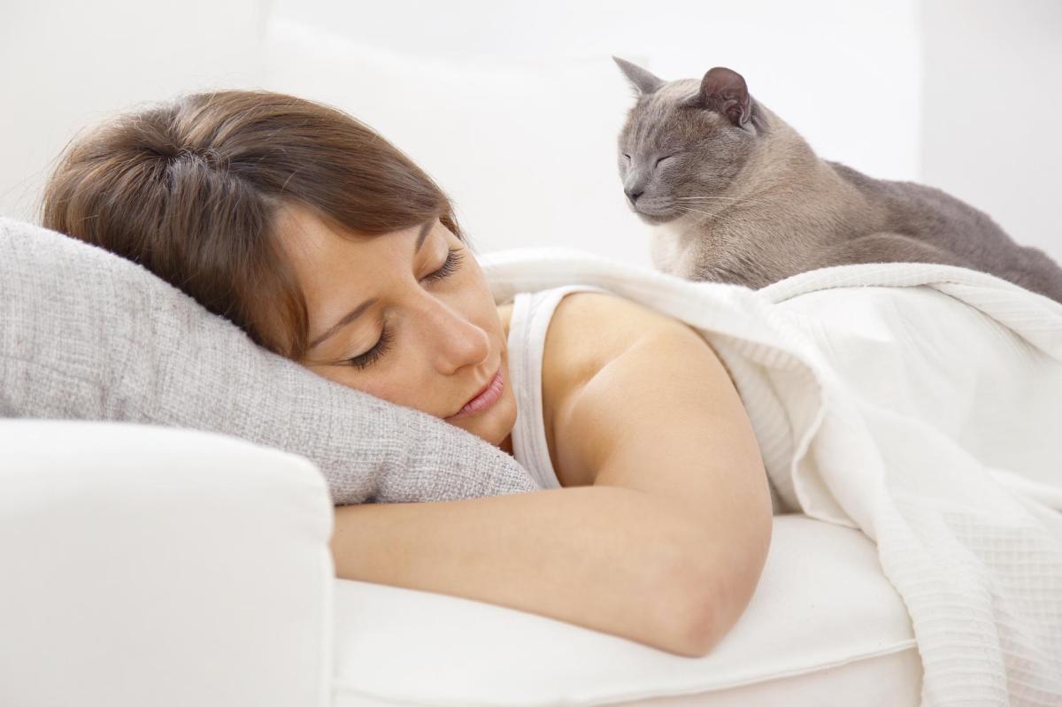 Why Does My Cat Lick My Face When I Am Sleeping?