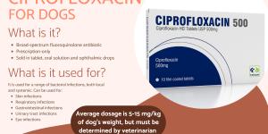 Ciprofloxacin for Dogs Usage and Dosage