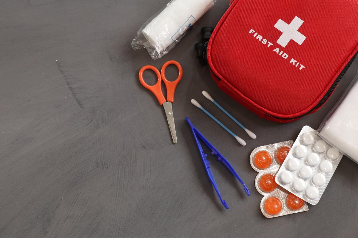 First Aid for Dog Wounds - Treating Dog Wounds at Home