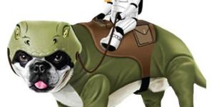 The Best Star Wars Costumes for Dogs