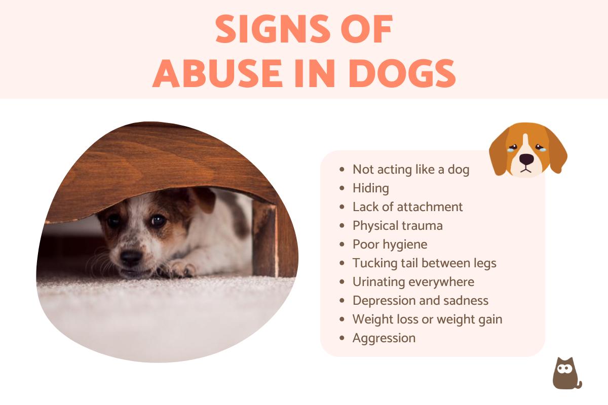 Signs of an Abused Dog - Emotional and Physical