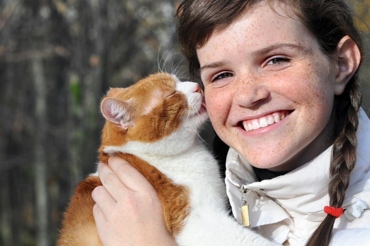 Why Does My Cat Lick My Hair? - Reasons Cats Groom Humans