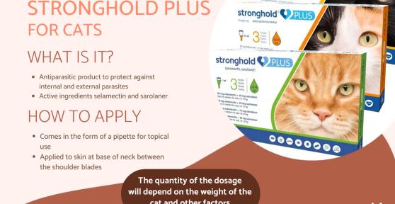Stronghold Plus for Cats - Dosage and Side Effects