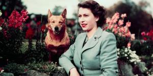 What Are the Queen's Corgis Called? All About Elizabeth II's Dogs