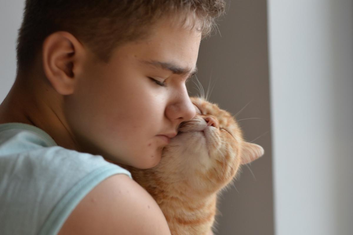 Benefits of Having a Cat for Children