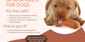 Can My Dog Eat Sausage?