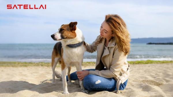 SATELLAI Collar: GPS Fencing Meets AI Health Insights - Design, Durability, and Build Quality