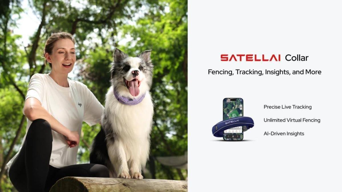 SATELLAI Collar: GPS Fencing Meets AI Health Insights