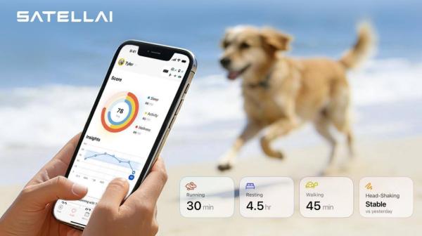 SATELLAI Collar: GPS Fencing Meets AI Health Insights - The Role of AI and Health Monitoring
