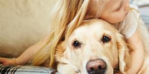 The 10 Most Affectionate Dog Breeds