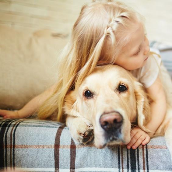 The 10 Most Affectionate Dog Breeds