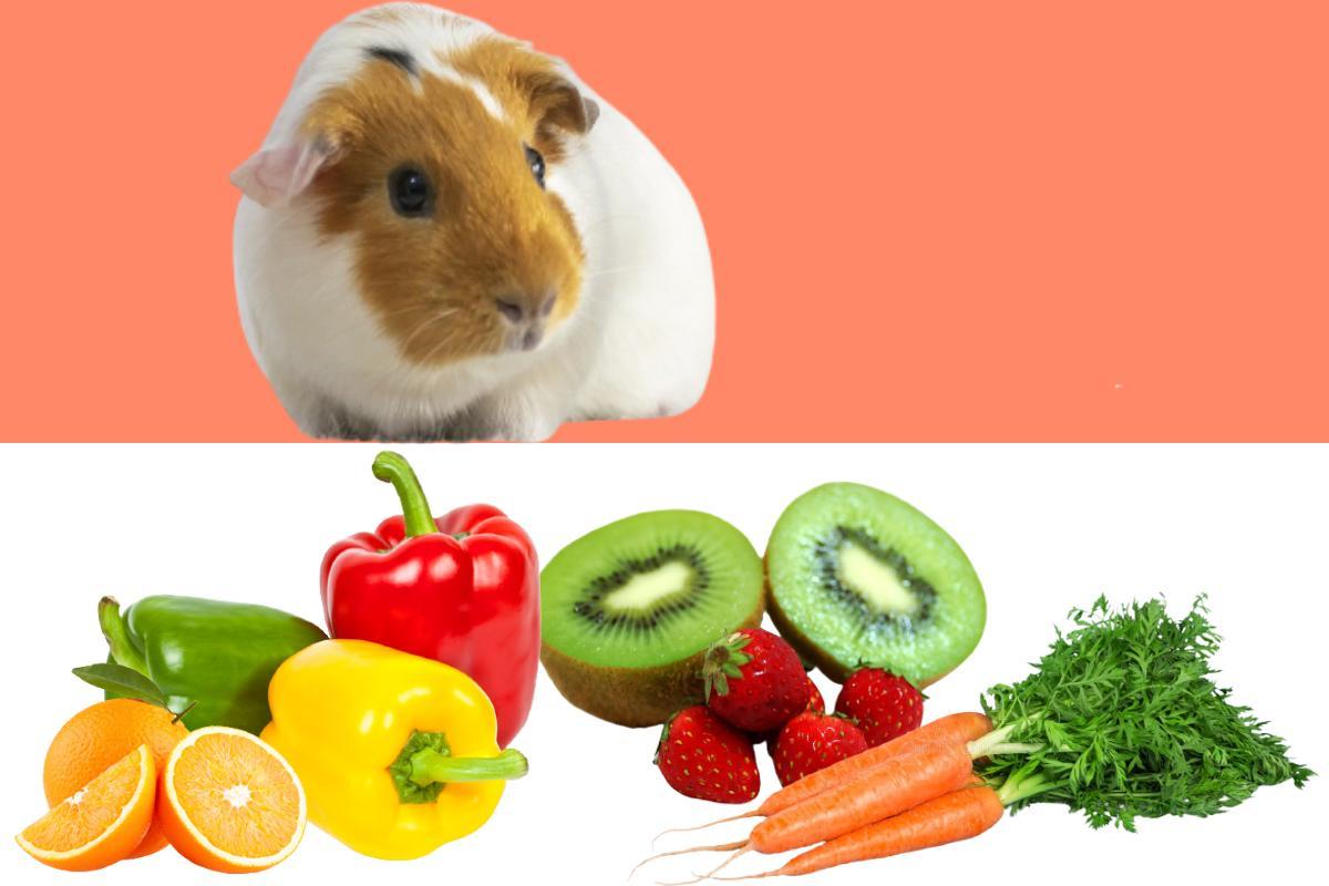 Beautiful view of Vitamin E Rich Vegetables For Guinea Pigs