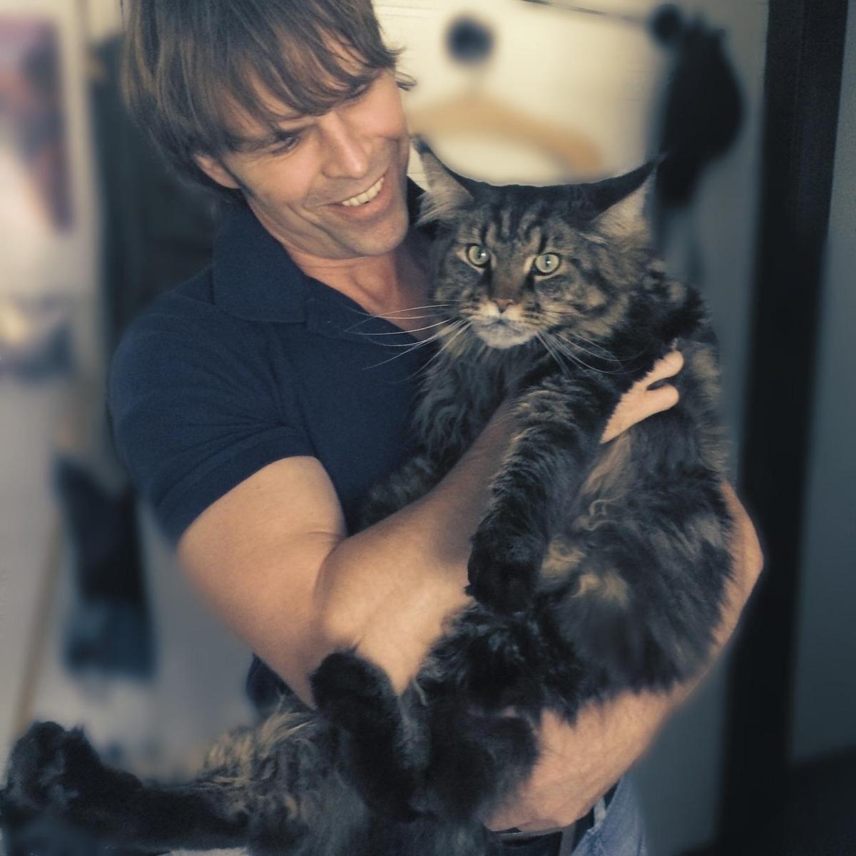 The 10 Most Affectionate Cat Breeds
