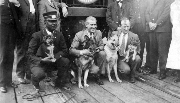 The 5 Most Famous Fictional Animals - Rin Tin Tin