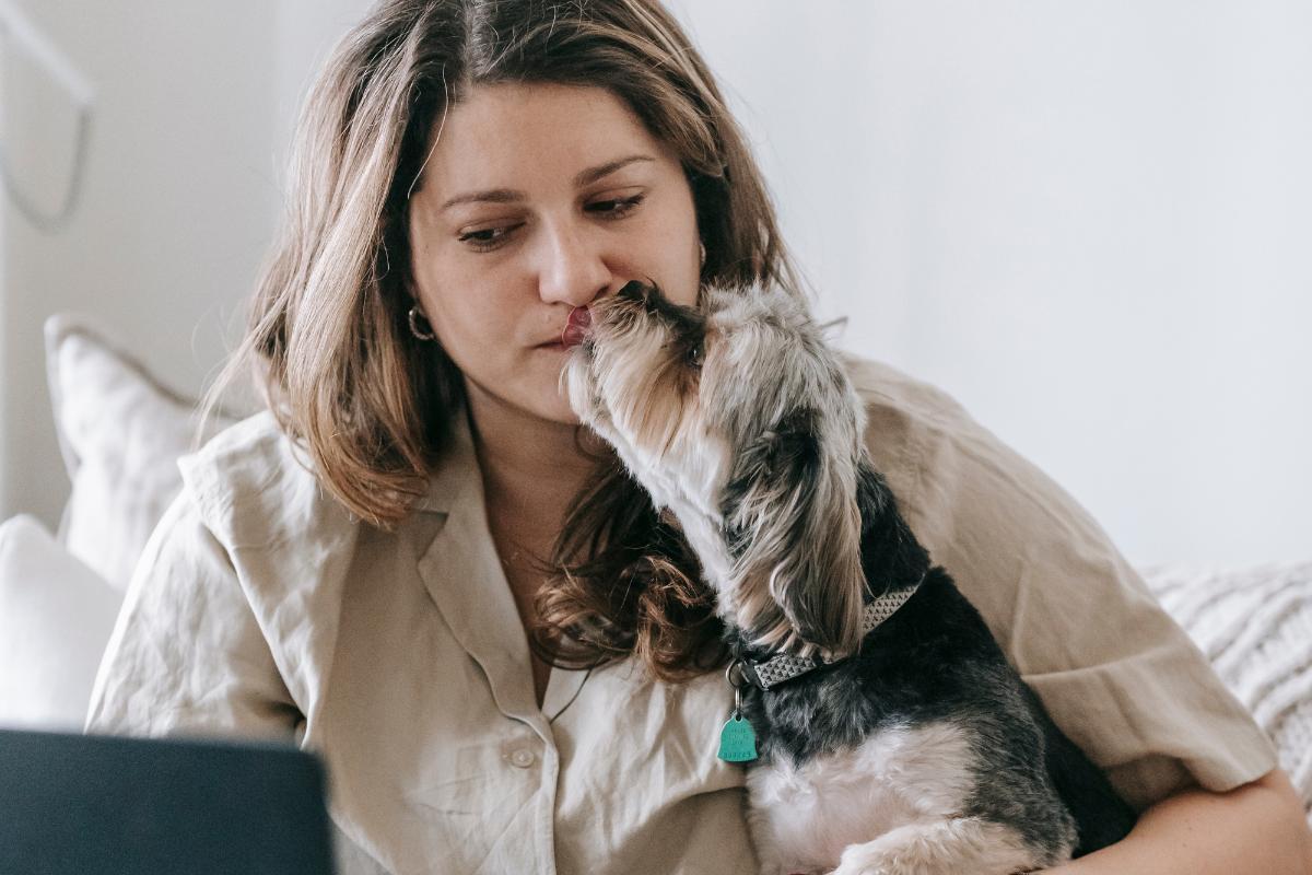 Diseases You Can Get From a Dog Licking Your Face