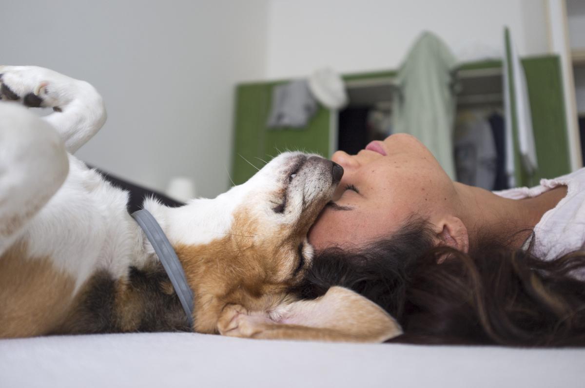 I Want a Dog But My Partner Doesn't