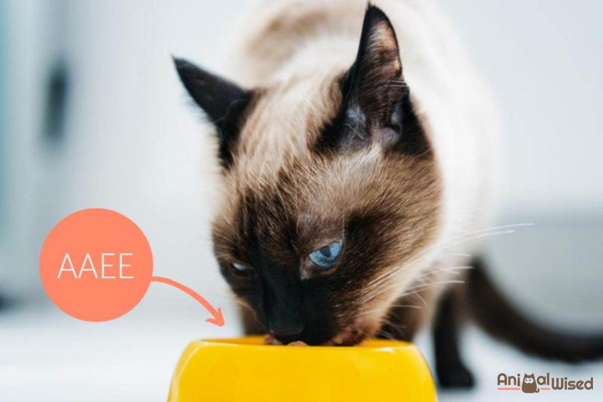 Essential Amino Acids for Cats