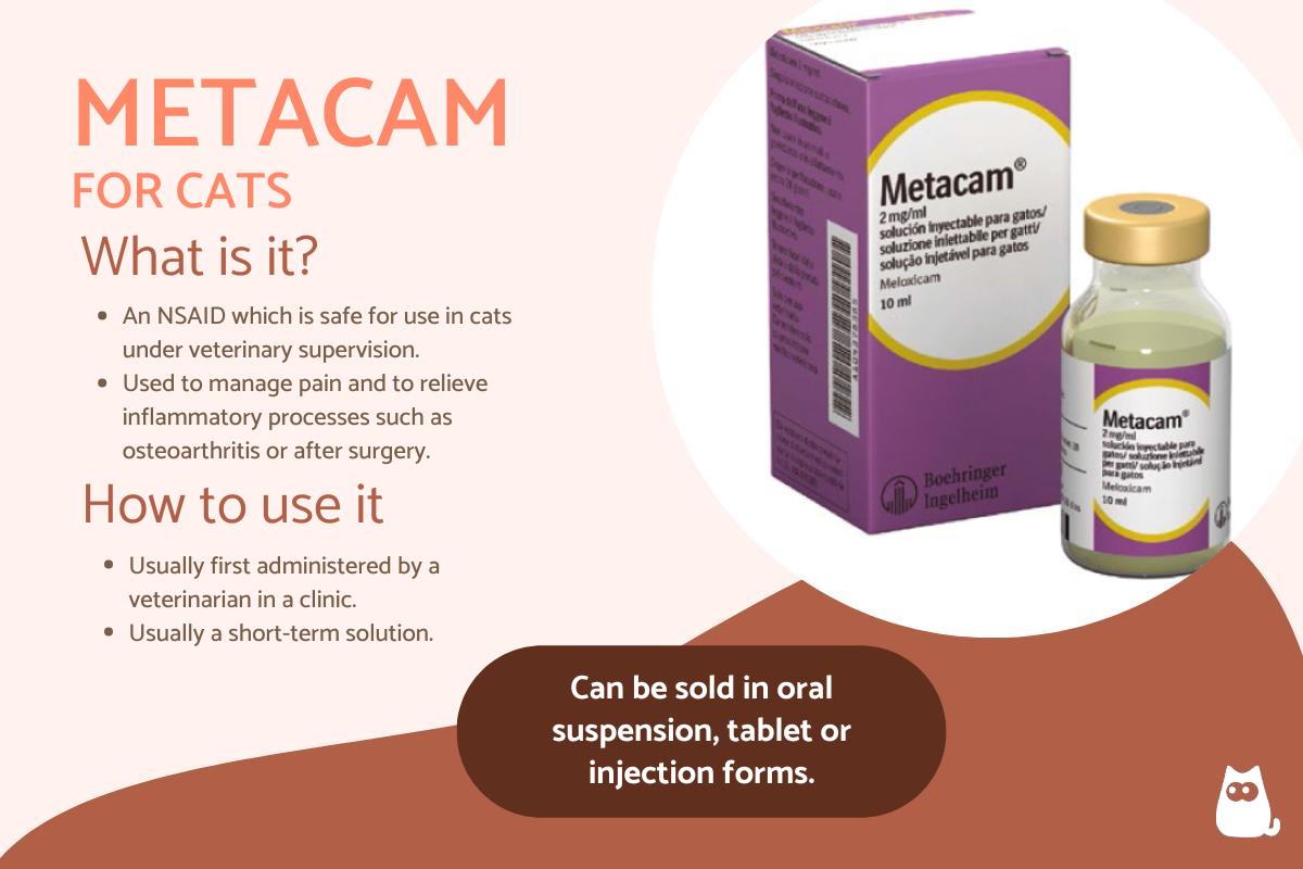 Metacam for Cats - Dosage, Uses and Side Effects