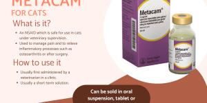 Metacam for Cats - Dosage, Uses and Side Effects