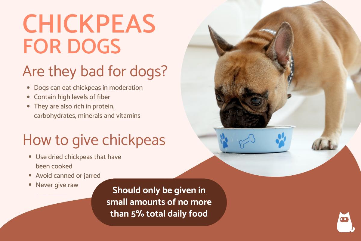 Can Dogs Eat Chickpeas?