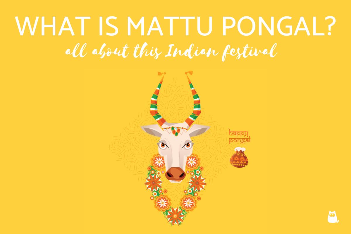 What is Mattu Pongal and Where is it Celebrated?