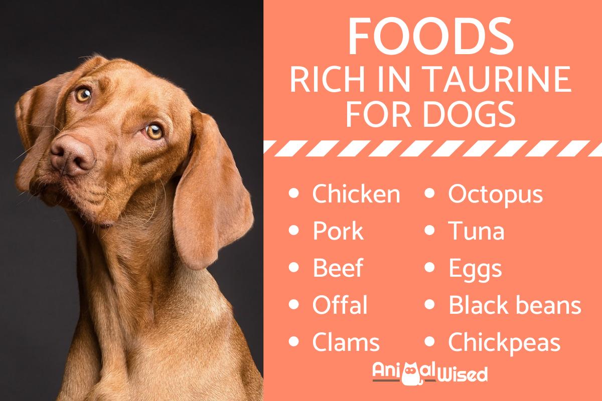 Taurine added to dog food cheap