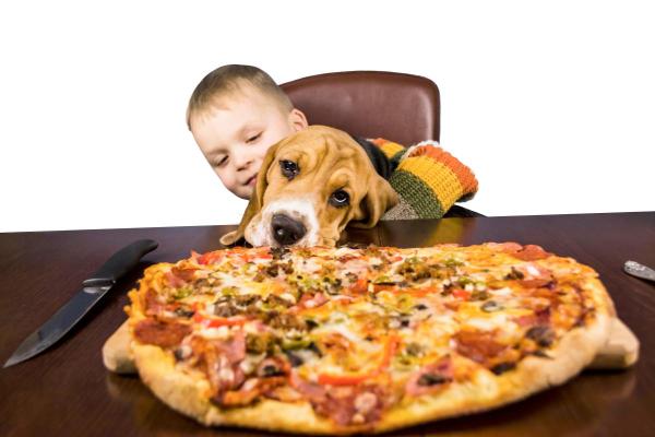 Can Dogs Eat Pizza? - Is pizza good for dogs?