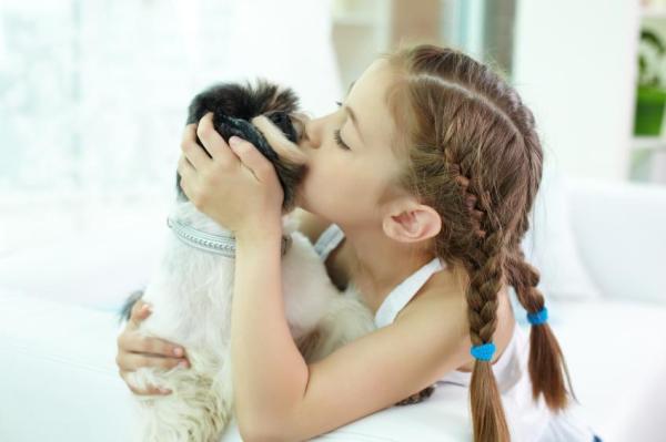How Long does it take for a Puppy to Adjust to New Home? - How to introduce your dog to a toddler or other pets