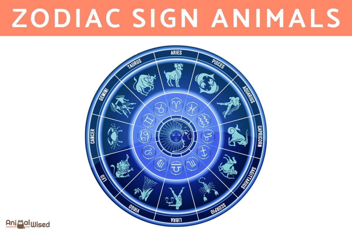 What Animal Am I According to My Zodiac Sign?