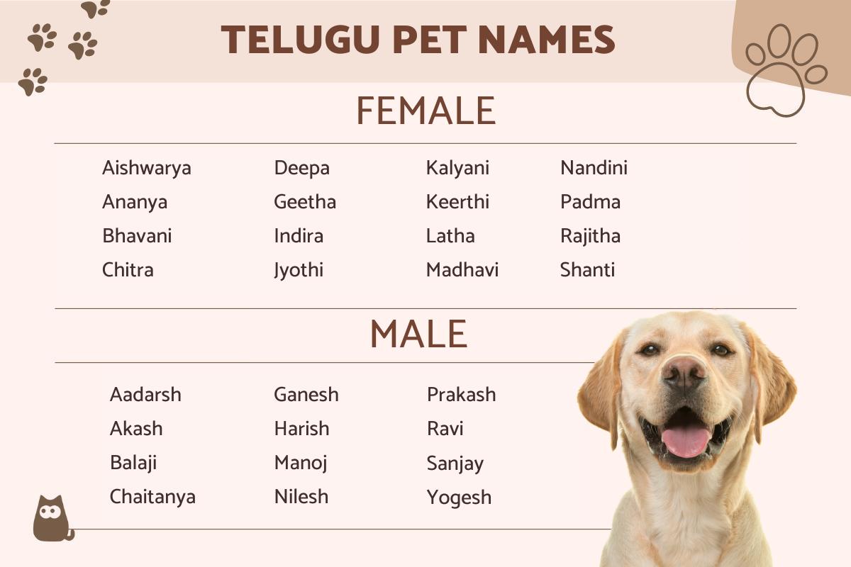 Telugu Names for Pets - Male and Female