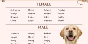Telugu Names for Pets - Male and Female