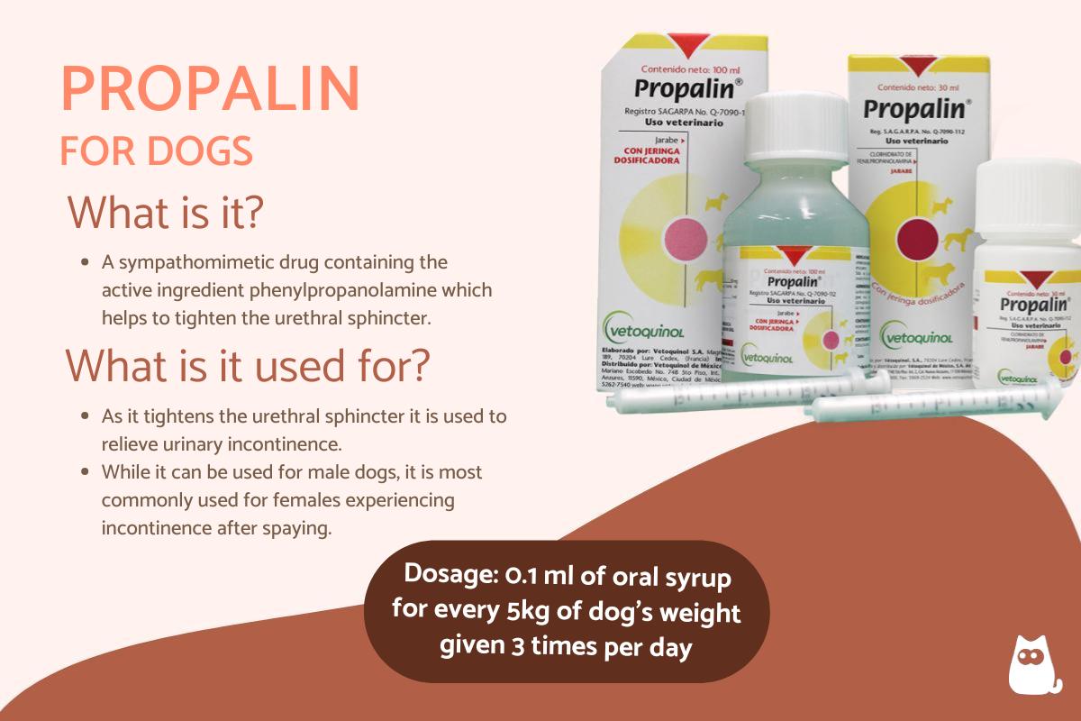 Propalin for Dogs - Uses and Side Effects