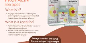 Propalin for Dogs - Uses and Side Effects