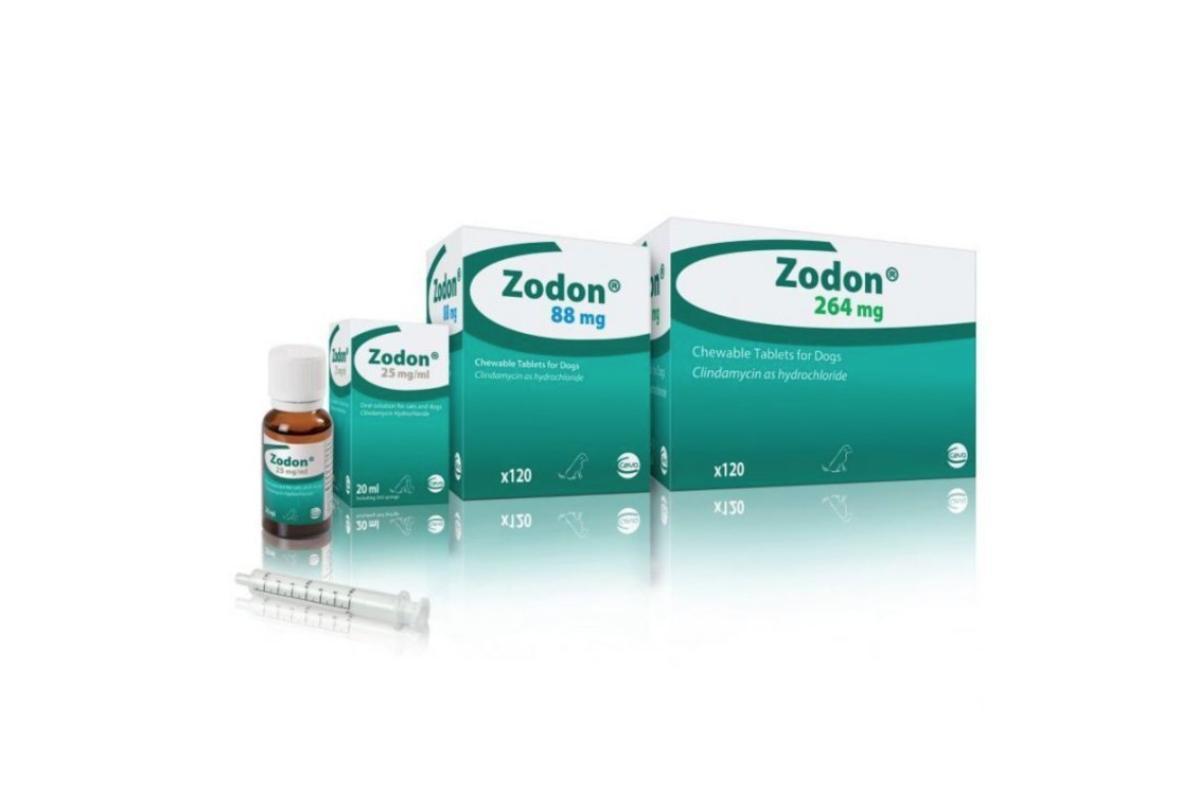Clindamycin for Cats Uses, Dosage and Side Effects